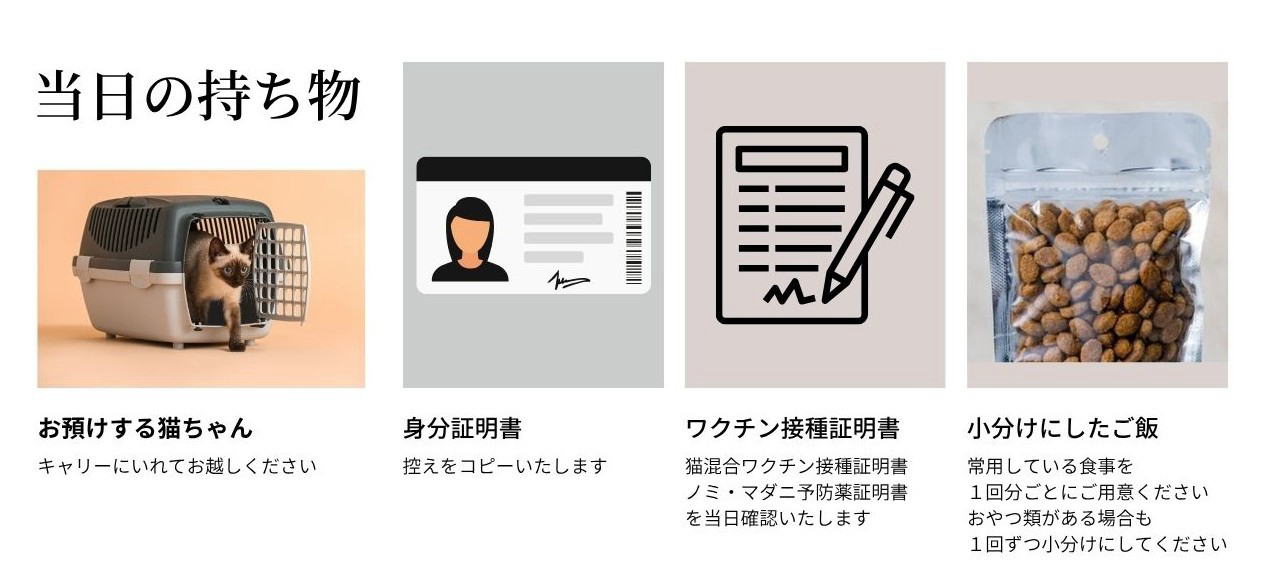 �L���@�y�b�g�z�e���@�L�@�˂��@�l�R�@�L���s�@����